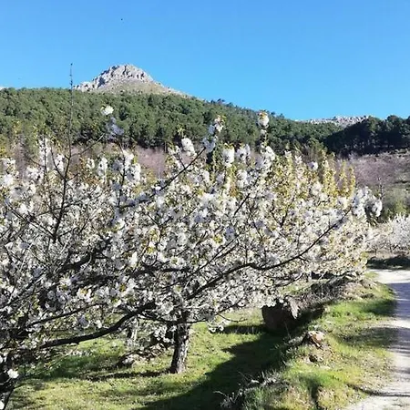 Alojamiento Gredos-tietar Ii بيت للعطل *